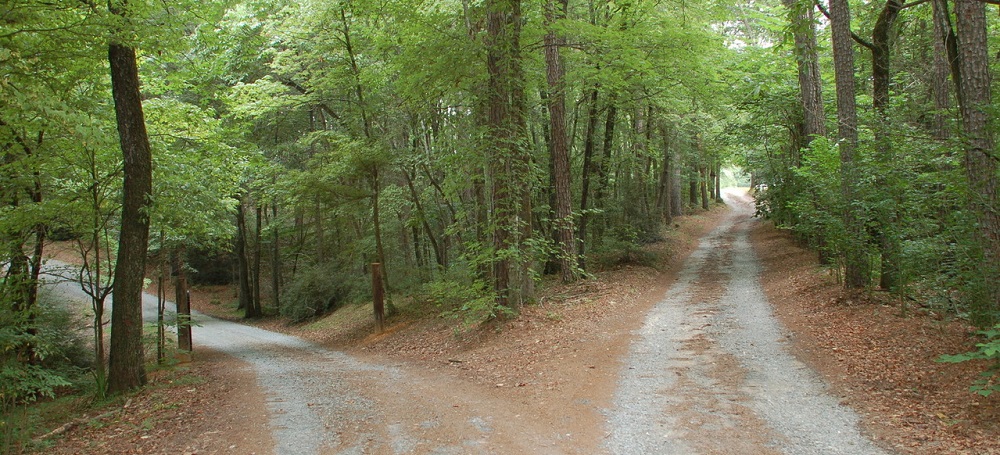 Forks in the road